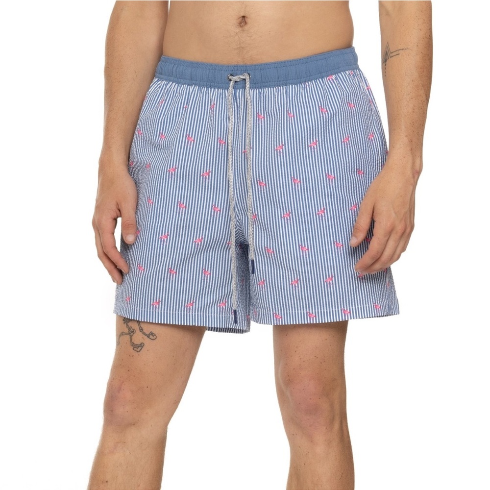 Men's Blue and Pink Striped Swim Shorts